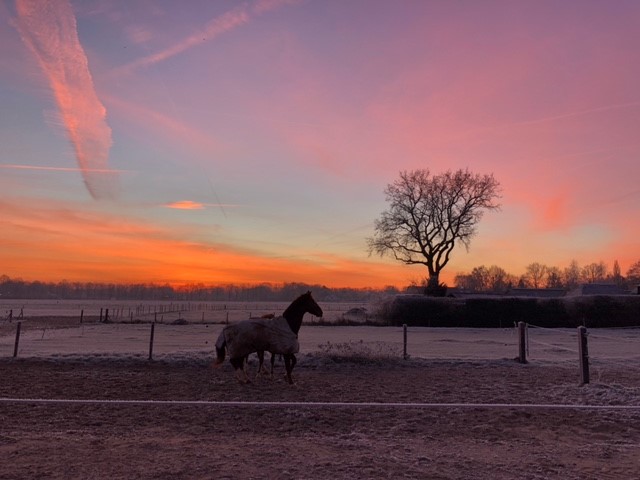 Winterfoto 2