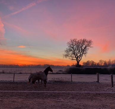zonsondergang foto Hoeve de Roskam