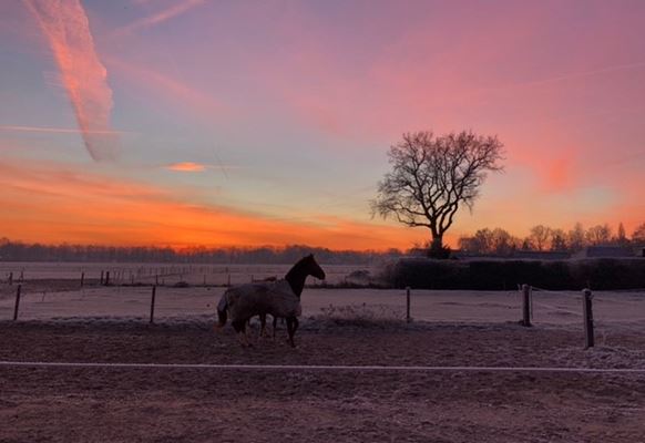 Winterfoto 2