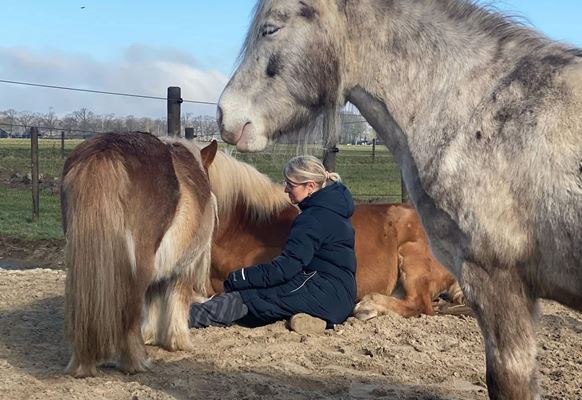Lieke tussen de paarden