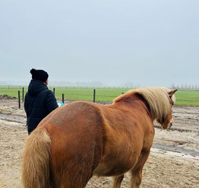 Individuele Sessies