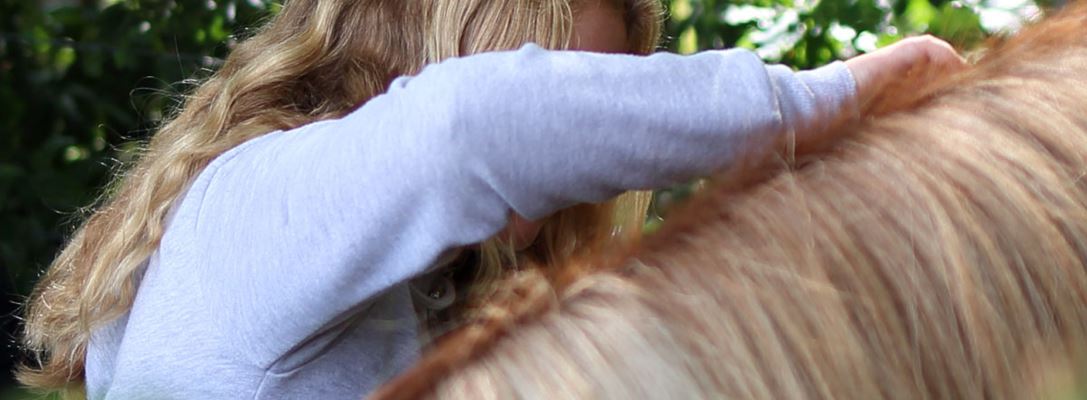 Header afbeelding