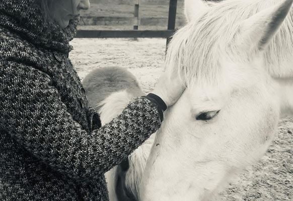 Illy En Ik