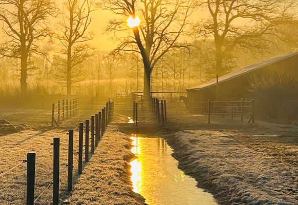 Natuur rondom de hoeve