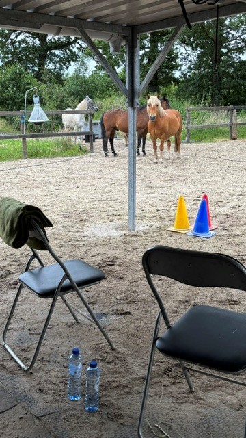 Vergaderen Paarden